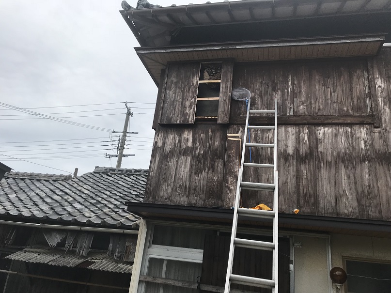 スズメバチ、アシナガバチ、ミツバチ和歌山