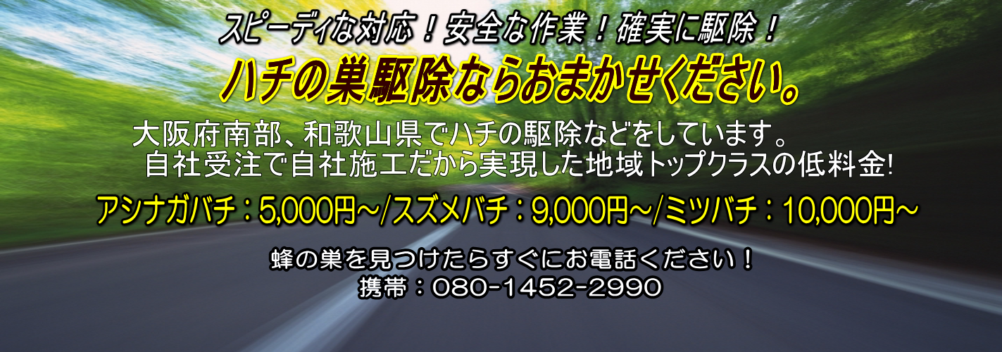 和歌山市、海南市、岩出市、紀の川市、橋本市、有田市、御坊市、田辺市など和歌山県内を中心に大阪府堺市、和泉市、岸和田市、貝塚市、泉佐野市、泉南市、阪南市、熊取町、岬町まで低価格でスズメバチ、アシナガバチ、ミツバチの蜂駆除を年間約150件以上行っています。駆除料金も他社などの平均価格よりも低価格で施工させて頂いております。