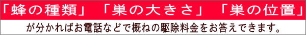 ハチの種類、和歌山、スズメバチ、アシナガバチ、ミツバチ、印南町の蜂駆除、料金
