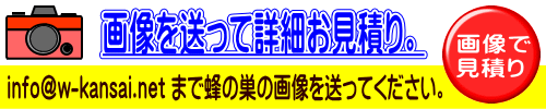 和歌山、スズメバチ駆除、アシナガバチ駆除、ミツバチ駆除、印南町、日高群の画像見積り